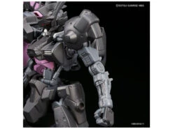 BANDAI GUNPLA HG 1/144 GUNDAM VUAL -Optimal Modèles Magasin bann15630 8 1490085579