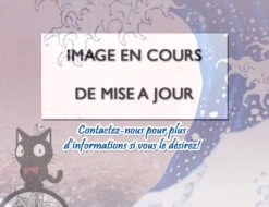 BANDAI ONE PIECE MAQUETTE RED FORCE 30CM -Optimal Modèles Magasin no image