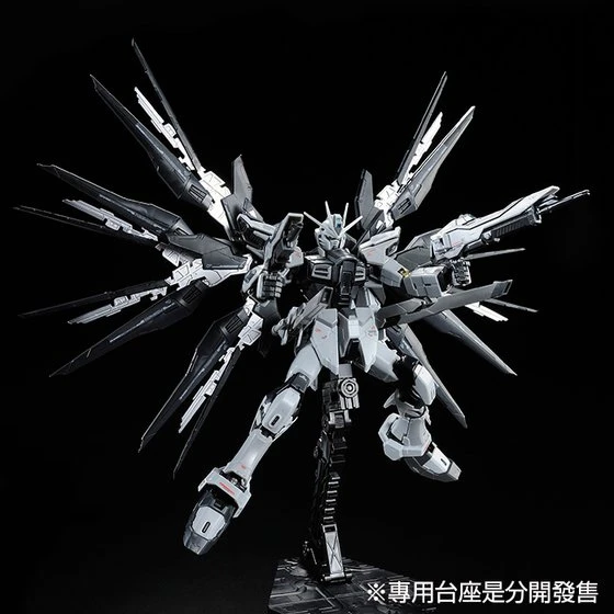 BANDAI RG 1/144 Strike Freedom Gundam Deactive Mode 12 BANDAI RG 1/144 Strike Freedom Gundam Deactive Mode – Image 10
