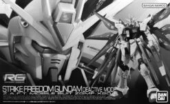 BANDAI RG 1/144 Strike Freedom Gundam Deactive Mode