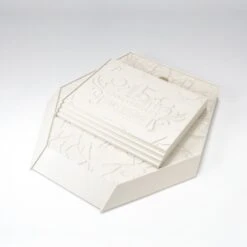 BANDAI 61953 SAINT SEIYA 15TH ANN POSEIDON MYTH CLOTH -Optimal Modèles Magasin saint seiya poseidon 15th anniversary myth cloth 6